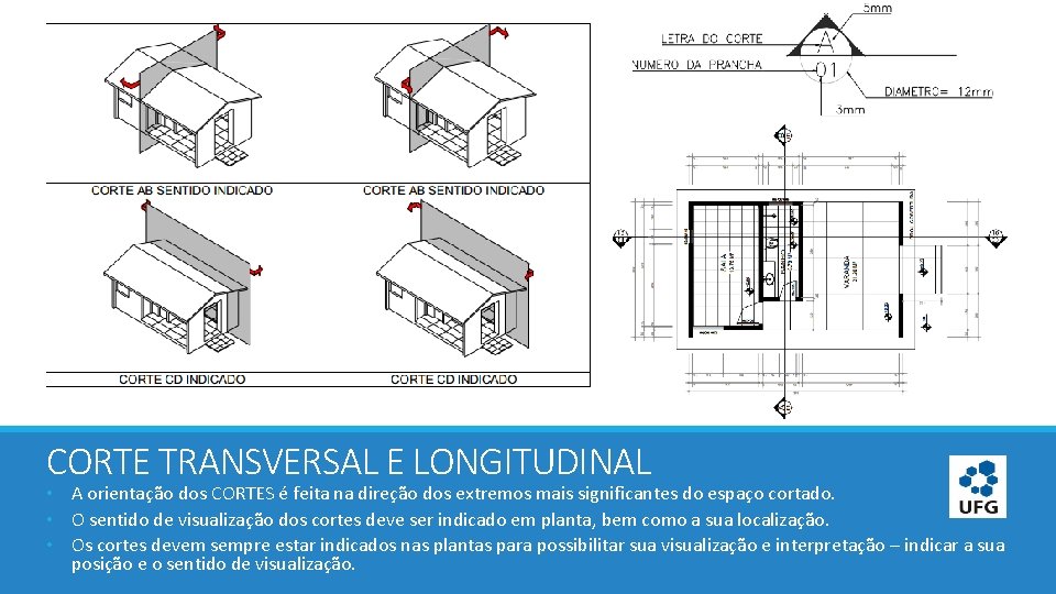 CORTE TRANSVERSAL E LONGITUDINAL • A orientação dos CORTES é feita na direção dos