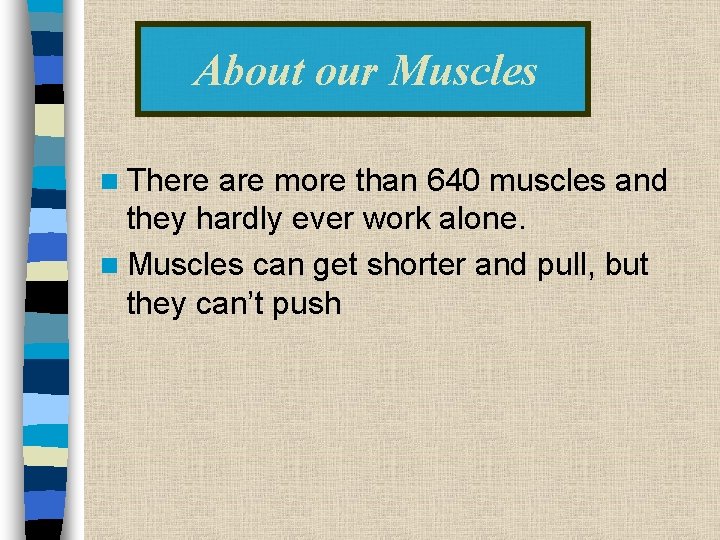 About our Muscles n There are more than 640 muscles and they hardly ever