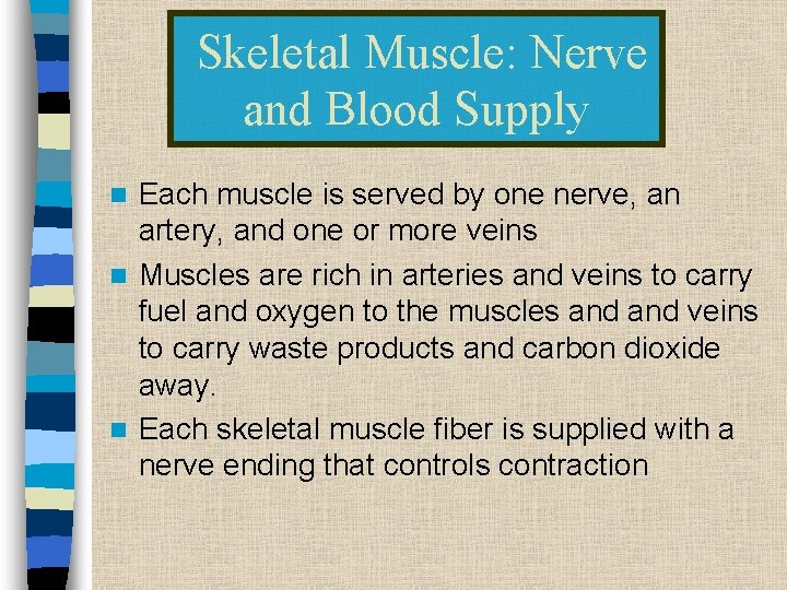 Skeletal Muscle: Nerve and Blood Supply Each muscle is served by one nerve, an