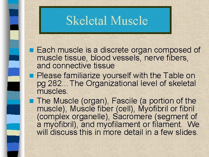 Skeletal Muscle Each muscle is a discrete organ composed of muscle tissue, blood vessels,