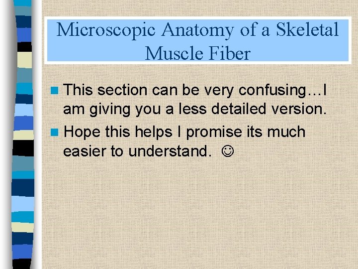 Microscopic Anatomy of a Skeletal Muscle Fiber n This section can be very confusing…I