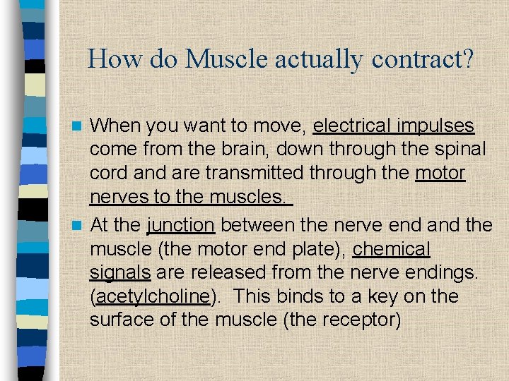 How do Muscle actually contract? When you want to move, electrical impulses come from