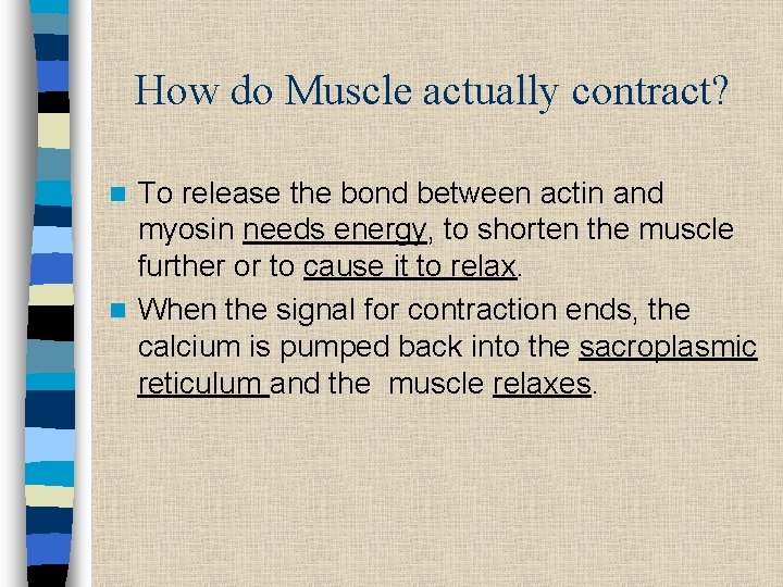 How do Muscle actually contract? To release the bond between actin and myosin needs