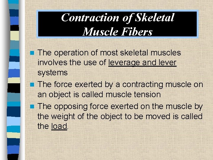 Contraction of Skeletal Muscle Fibers The operation of most skeletal muscles involves the use
