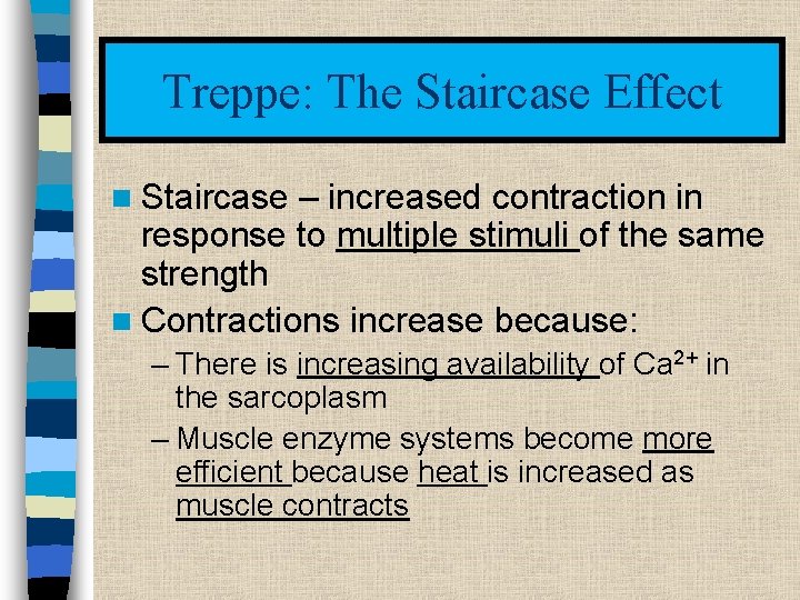 Treppe: The Staircase Effect n Staircase – increased contraction in response to multiple stimuli