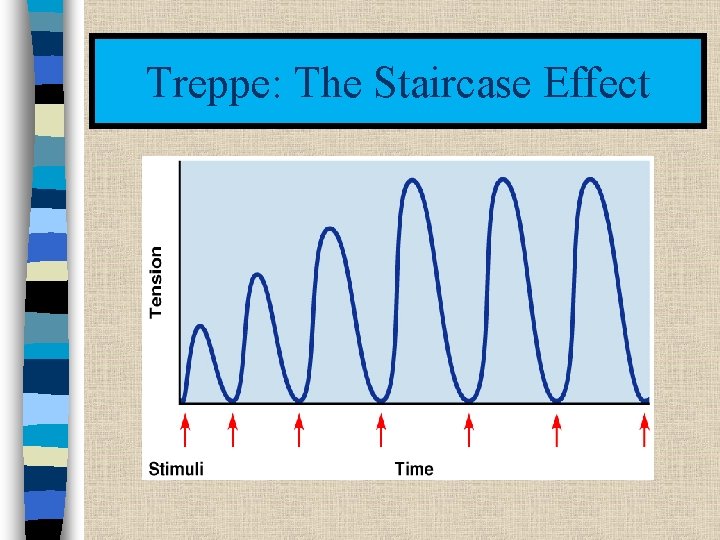 Treppe: The Staircase Effect 