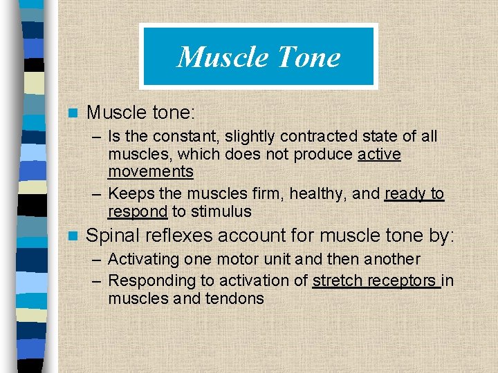 Muscle Tone n Muscle tone: – Is the constant, slightly contracted state of all