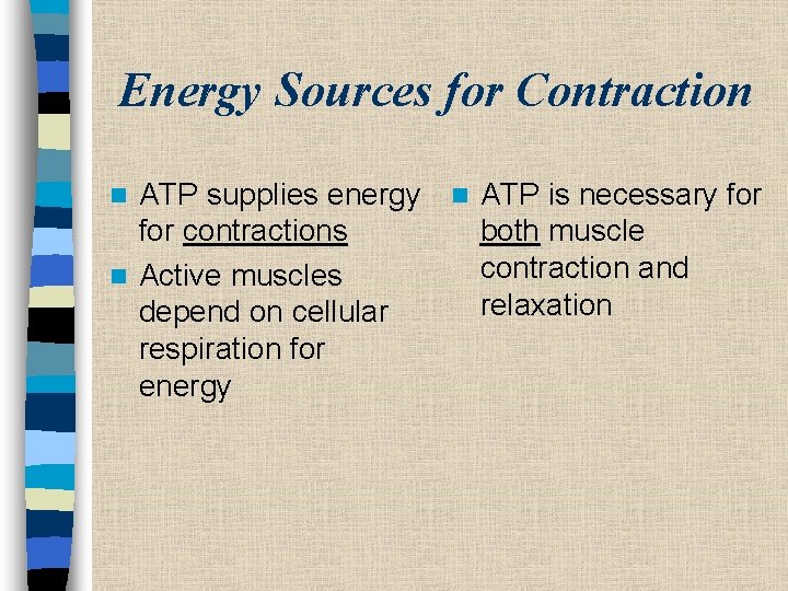 Energy Sources for Contraction ATP supplies energy n ATP is necessary for contractions both