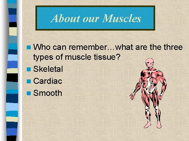 About our Muscles n Who can remember…what are three types of muscle tissue? n