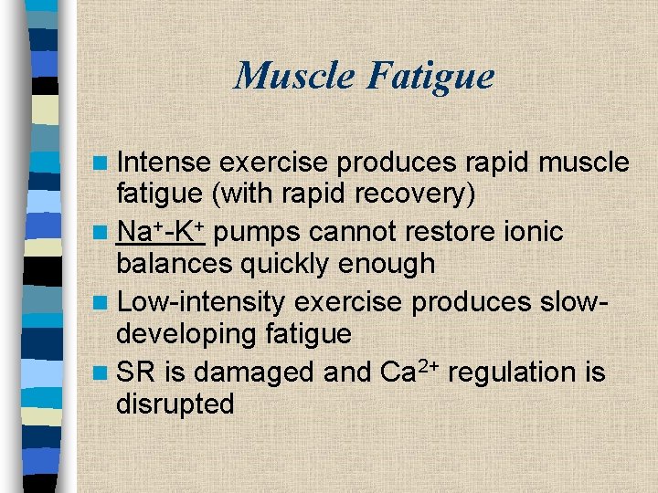 Muscle Fatigue n Intense exercise produces rapid muscle fatigue (with rapid recovery) n Na+-K+