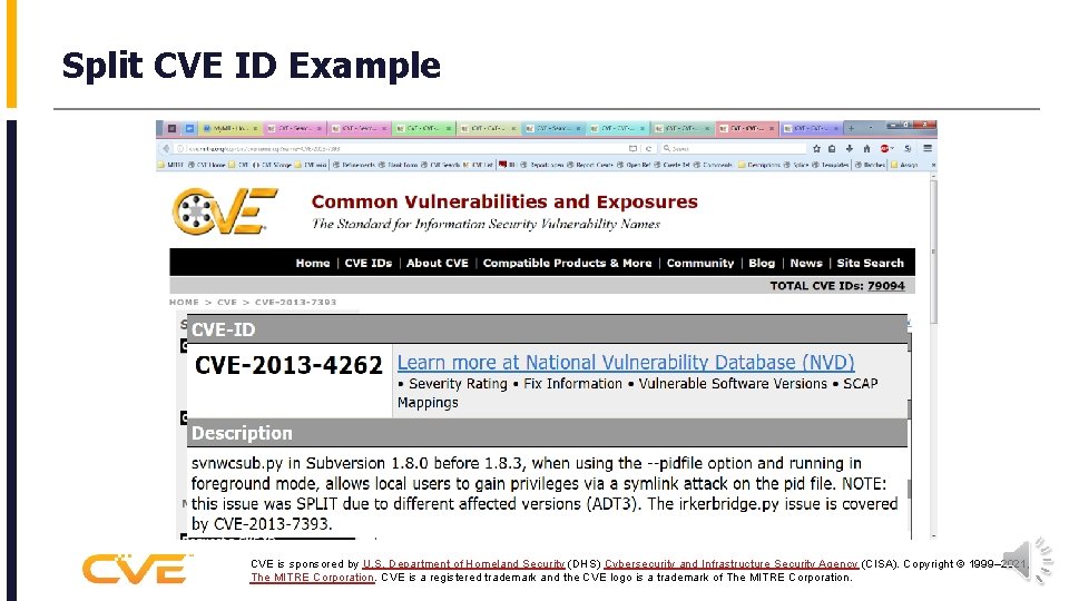 Split CVE ID Example CVE is sponsored by U. S. Department of Homeland Security
