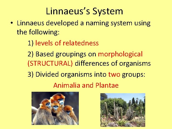 Linnaeus’s System • Linnaeus developed a naming system using the following: 1) levels of
