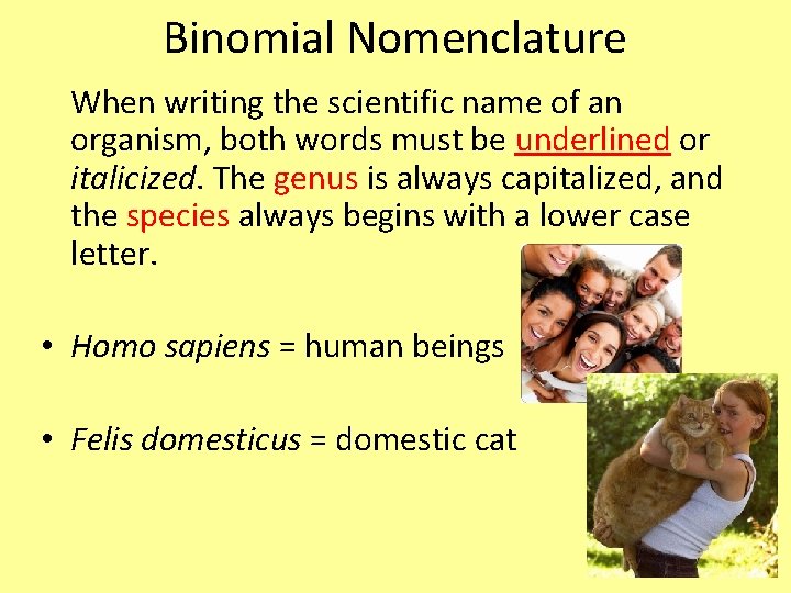 Binomial Nomenclature When writing the scientific name of an organism, both words must be