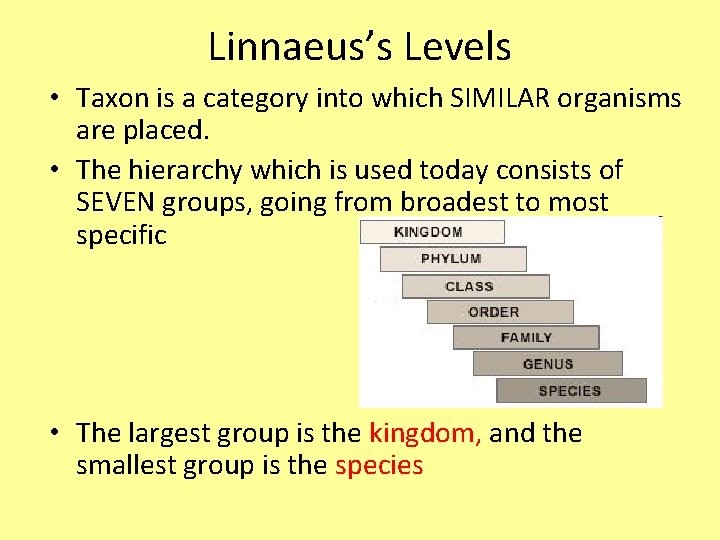 Linnaeus’s Levels • Taxon is a category into which SIMILAR organisms are placed. •