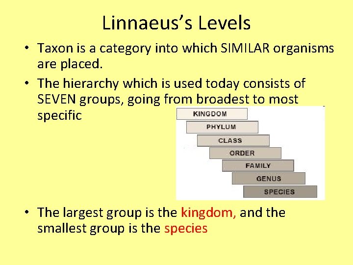 Linnaeus’s Levels • Taxon is a category into which SIMILAR organisms are placed. • Linnaeus’s Levels • Taxon is a category into which SIMILAR organisms are placed. •