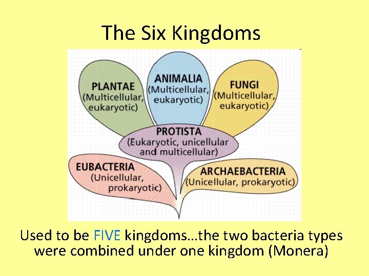The Six Kingdoms Used to be FIVE kingdoms…the two bacteria types were combined under