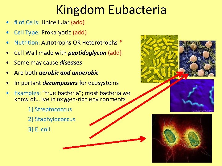 Kingdom Eubacteria • # of Cells: Unicellular (add) • Cell Type: Prokaryotic (add) •