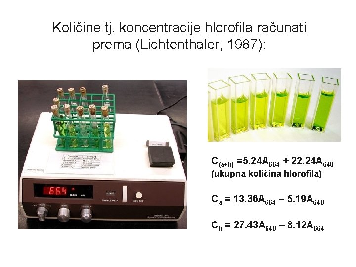 Količine tj. koncentracije hlorofila računati prema (Lichtenthaler, 1987): C(a+b) =5. 24 A 664 +
