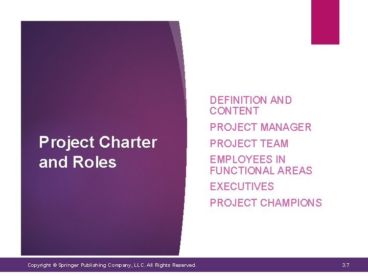 DEFINITION AND CONTENT PROJECT MANAGER Project Charter and Roles PROJECT TEAM EMPLOYEES IN FUNCTIONAL DEFINITION AND CONTENT PROJECT MANAGER Project Charter and Roles PROJECT TEAM EMPLOYEES IN FUNCTIONAL