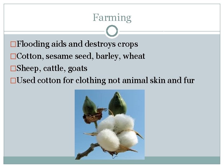 Farming �Flooding aids and destroys crops �Cotton, sesame seed, barley, wheat �Sheep, cattle, goats