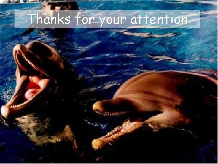 Thanks for your attention 