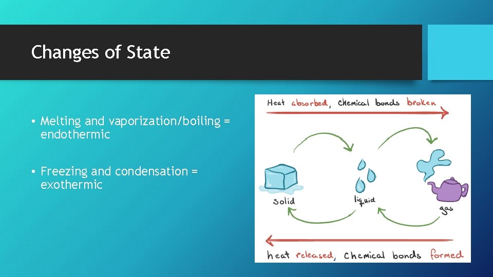 Changes of State • Melting and vaporization/boiling = endothermic • Freezing and condensation =