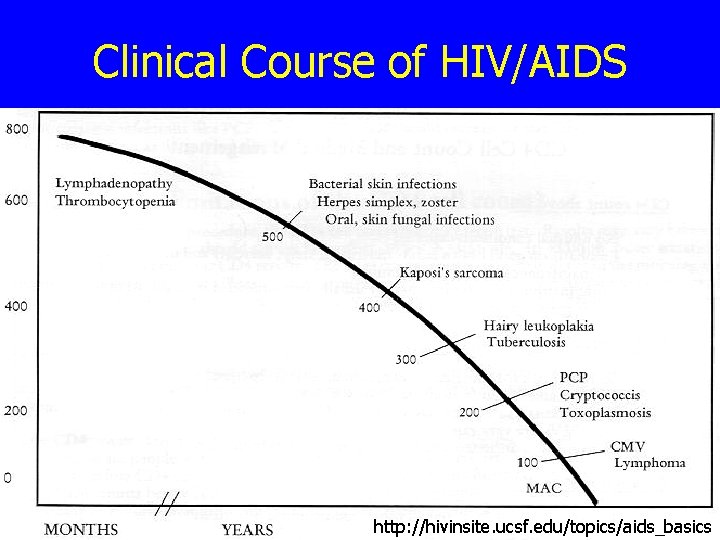 Clinical Course of HIV/AIDS http: //hivinsite. ucsf. edu/topics/aids_basics 