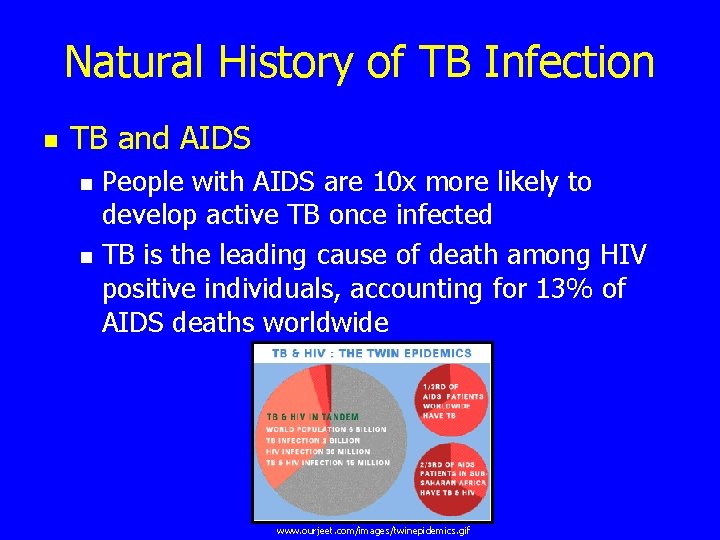 Natural History of TB Infection n TB and AIDS n n People with AIDS