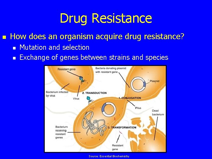 Drug Resistance n How does an organism acquire drug resistance? n n Mutation and