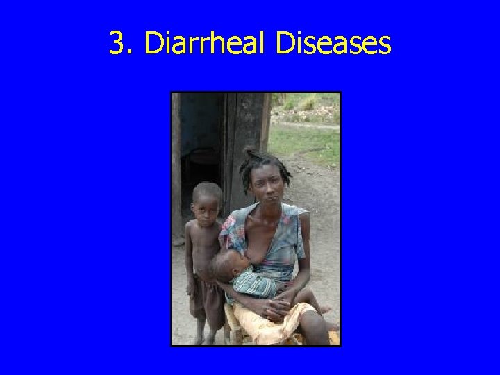 3. Diarrheal Diseases 