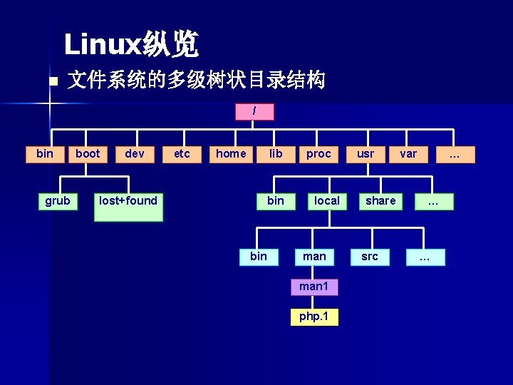 Linux纵览 n 文件系统的多级树状目录结构 / bin grub boot dev etc home lib lost+found bin proc