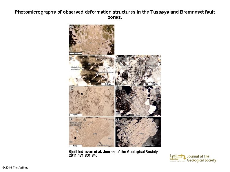 Photomicrographs of observed deformation structures in the Tussøya and Bremneset fault zones. Kjetil Indrevær