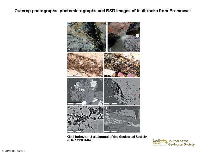 Outcrop photographs, photomicrographs and BSD images of fault rocks from Bremneset. Kjetil Indrevær et