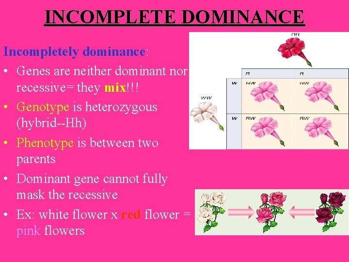 INCOMPLETE DOMINANCE Incompletely dominance: dominance • Genes are neither dominant nor recessive= they mix!!!