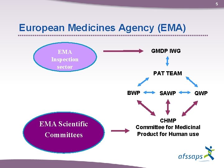 5 European Medicines Agency (EMA) GMDP IWG EMA Inspection sector PAT TEAM BWP EMA