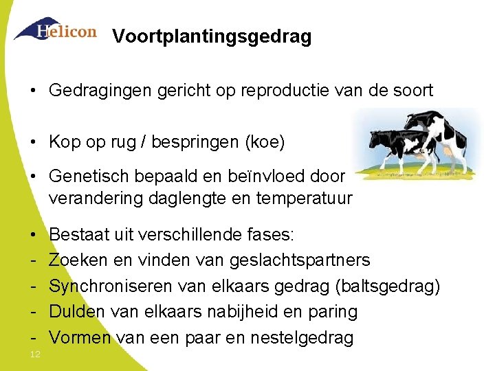 Voortplantingsgedrag • Gedragingen gericht op reproductie van de soort • Kop op rug /