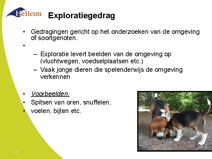 Exploratiegedrag • Gedragingen gericht op het onderzoeken van de omgeving of soortgenoten. • –