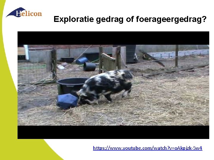 Exploratie gedrag of foerageergedrag? https: //www. youtube. com/watch? v=o. Akpjzk-Sw 4 