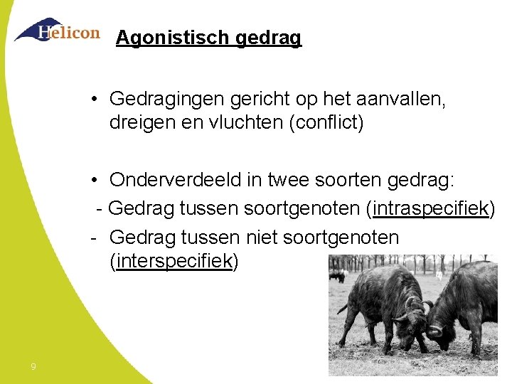 Agonistisch gedrag • Gedragingen gericht op het aanvallen, dreigen en vluchten (conflict) • Onderverdeeld