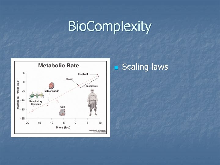 Bio. Complexity n Scaling laws 