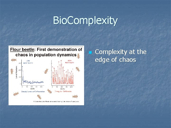 Bio. Complexity n Complexity at the edge of chaos 