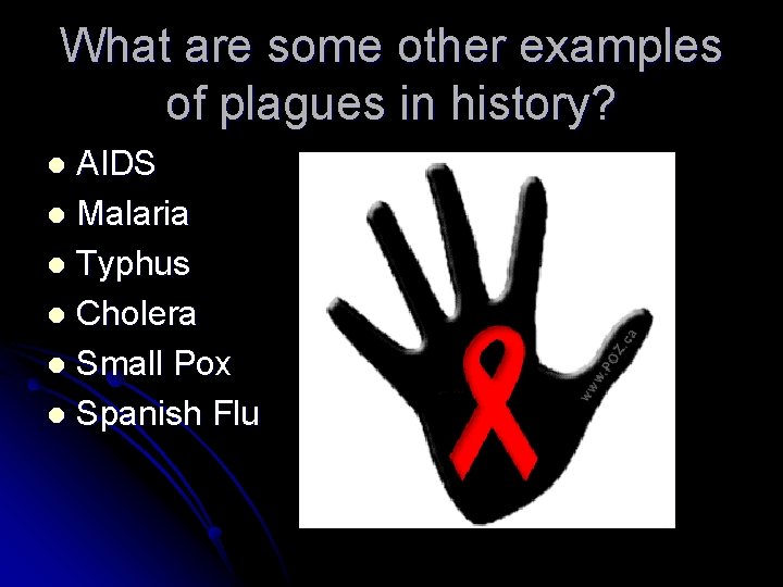 What are some other examples of plagues in history? AIDS l Malaria l Typhus