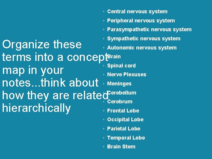 ◦ Central nervous system ◦ Peripheral nervous system ◦ Parasympathetic nervous system ◦ Sympathetic