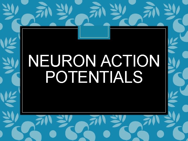 NEURON ACTION POTENTIALS 