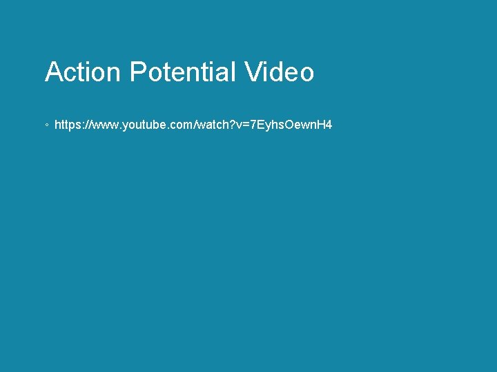 Action Potential Video ◦ https: //www. youtube. com/watch? v=7 Eyhs. Oewn. H 4 