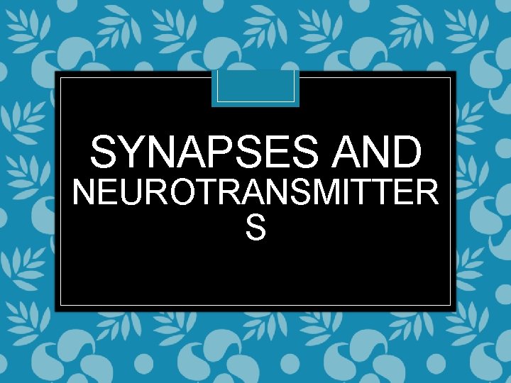 SYNAPSES AND NEUROTRANSMITTER S 