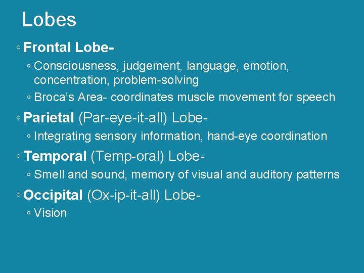 Lobes ◦ Frontal Lobe◦ Consciousness, judgement, language, emotion, concentration, problem-solving ◦ Broca’s Area- coordinates