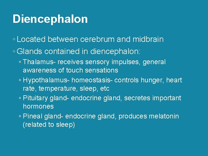 Diencephalon ◦ Located between cerebrum and midbrain ◦ Glands contained in diencephalon: ◦ Thalamus-