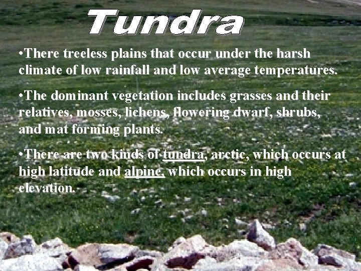  • There treeless plains that occur under the harsh climate of low rainfall