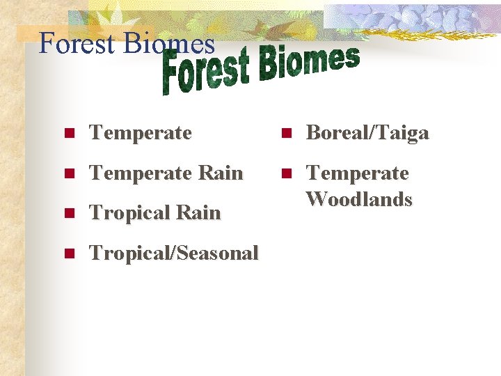 Forest Biomes n Temperate n Boreal/Taiga n Temperate Rain n n Tropical Rain Temperate